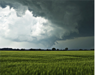 Image related to Natural Disaster (Tornado)