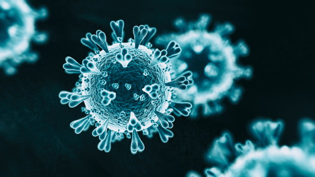 Image of Cell - Coronavirus