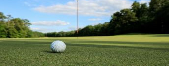 Image of golf tee